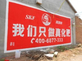 巴东刷墙广告”蕴含了时代命题
