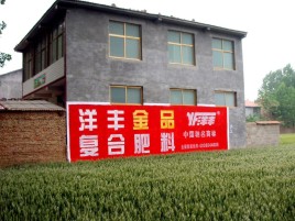 巴东如何让墙体广告展现最大化效果