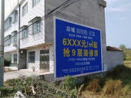 巴东墙体广告质量分析