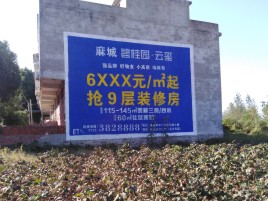 巴东品牌公司青睐的墙体广告