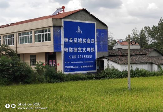 巴东决定墙体广告价格的因素有哪些？