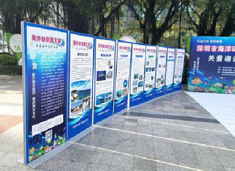 巴东KT板的种类和知识。